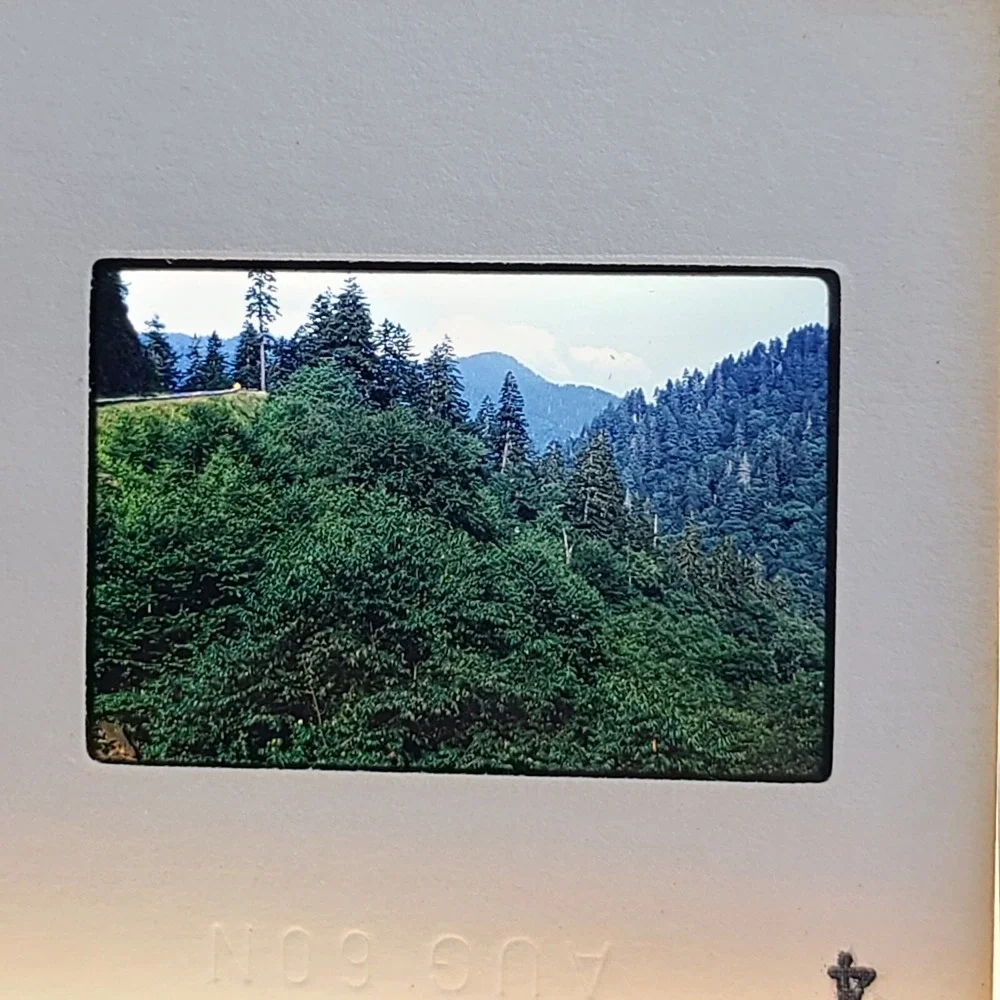 Lot of 30 Slides Smokey Mountains‎ Tourist Scenery Photos 1960 1975